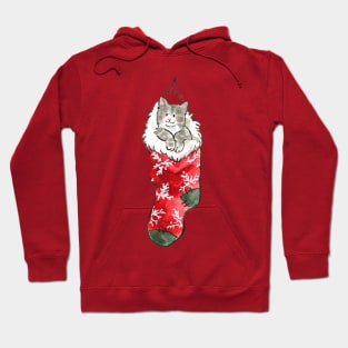 Christmas grey kitten in a sock T-Shirt Hoodie